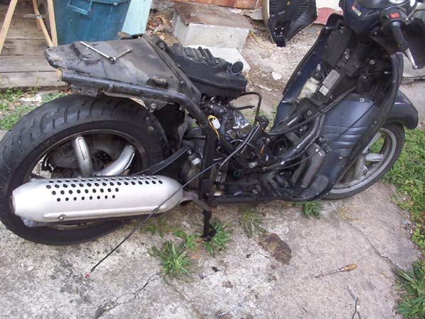 scooter dmont